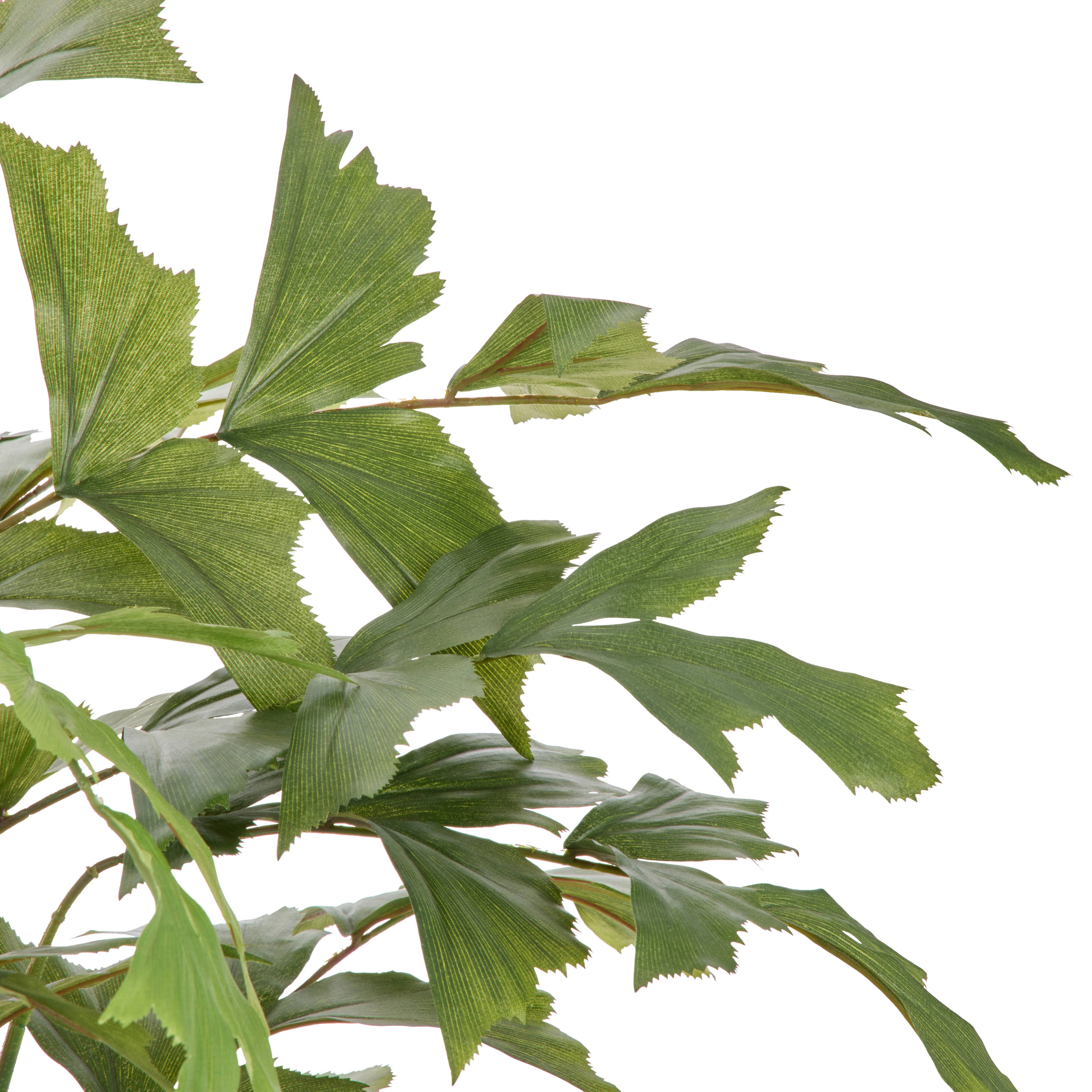 Faux Caryota Palm Tree - Vienna PLanter | Green  - 158cm