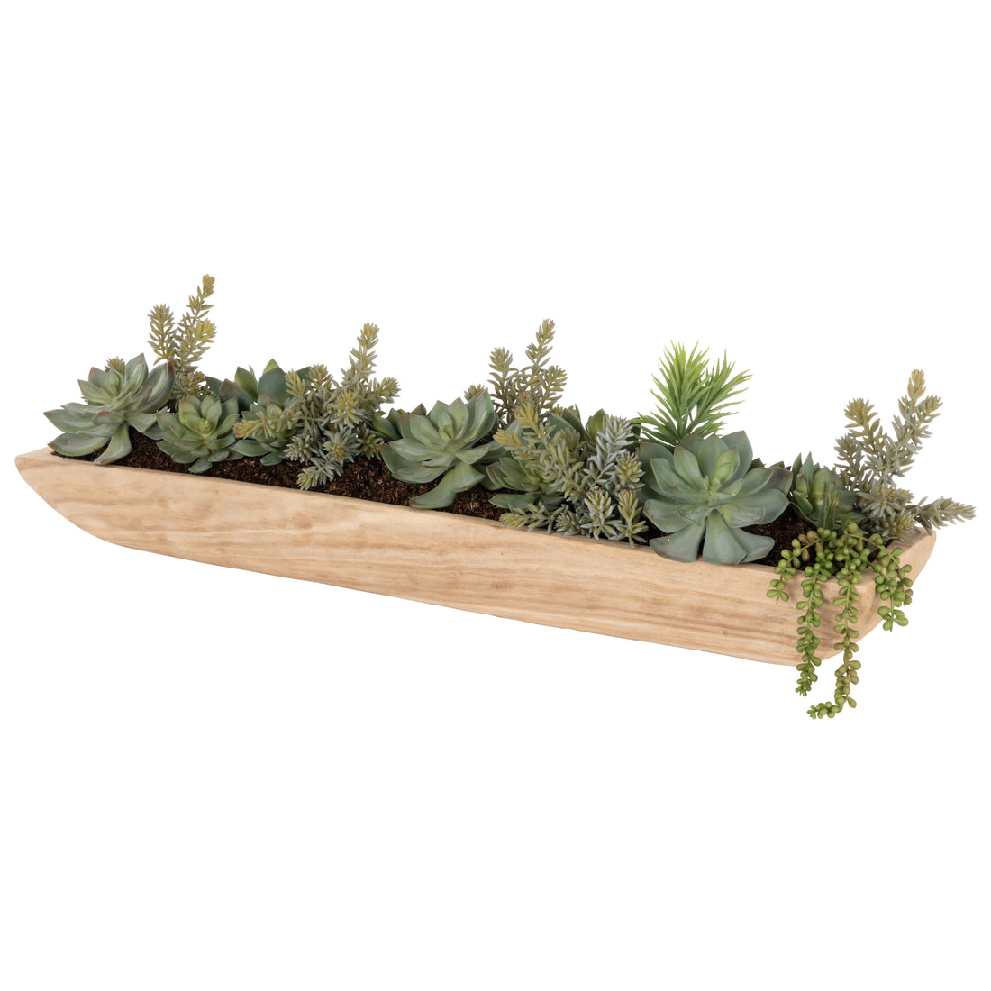 Rogue Echeveria Succulent Garden - Dansk Green