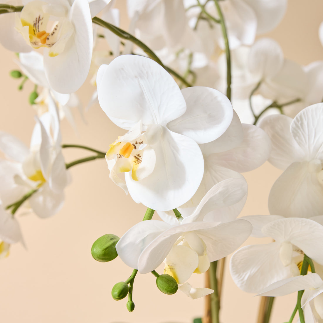 Faux Phalaenopsis Orchid - Blue and White Bowl | White - 66cm