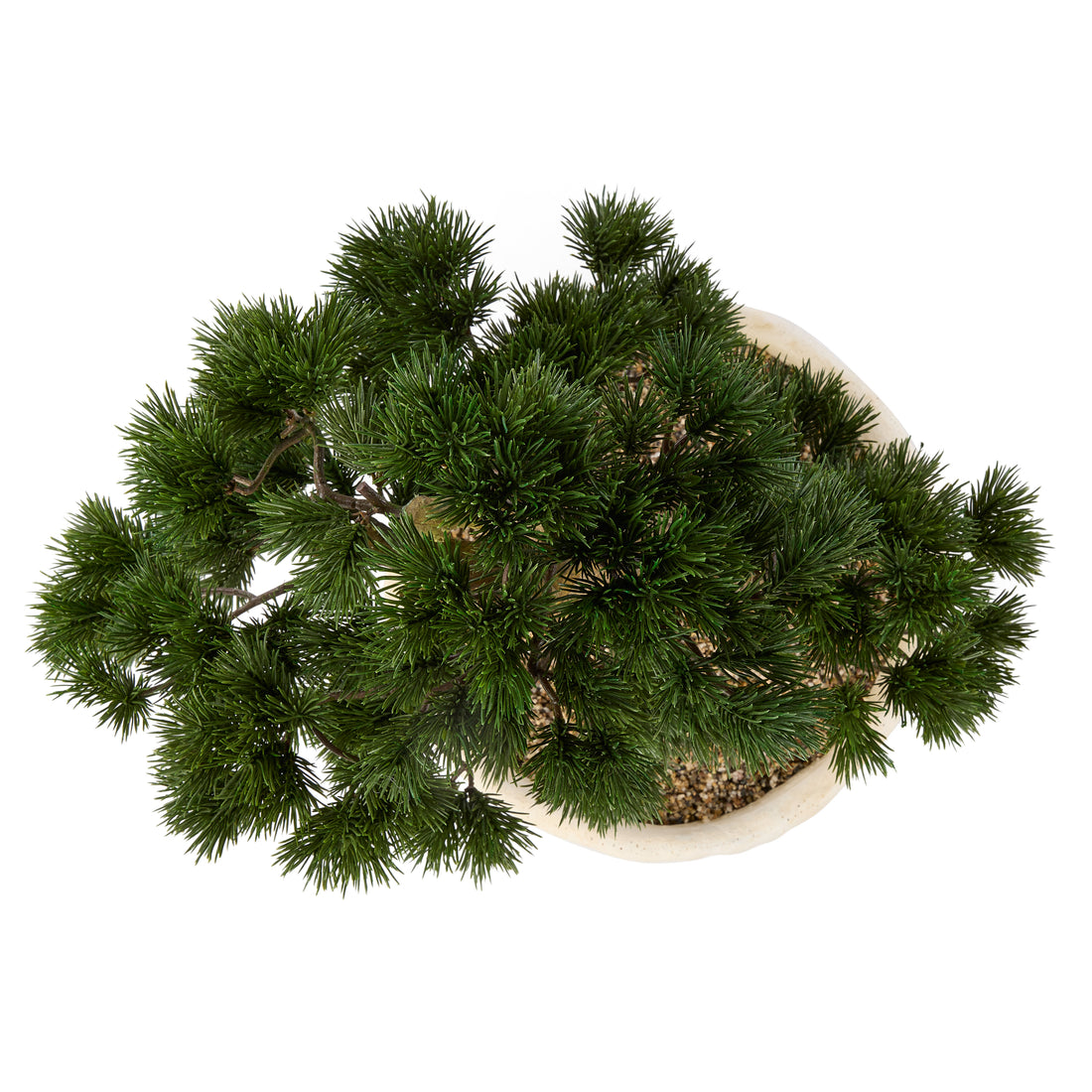 Faux Pine Bonsai - Textured Cement Pot | Cream - 57cm
