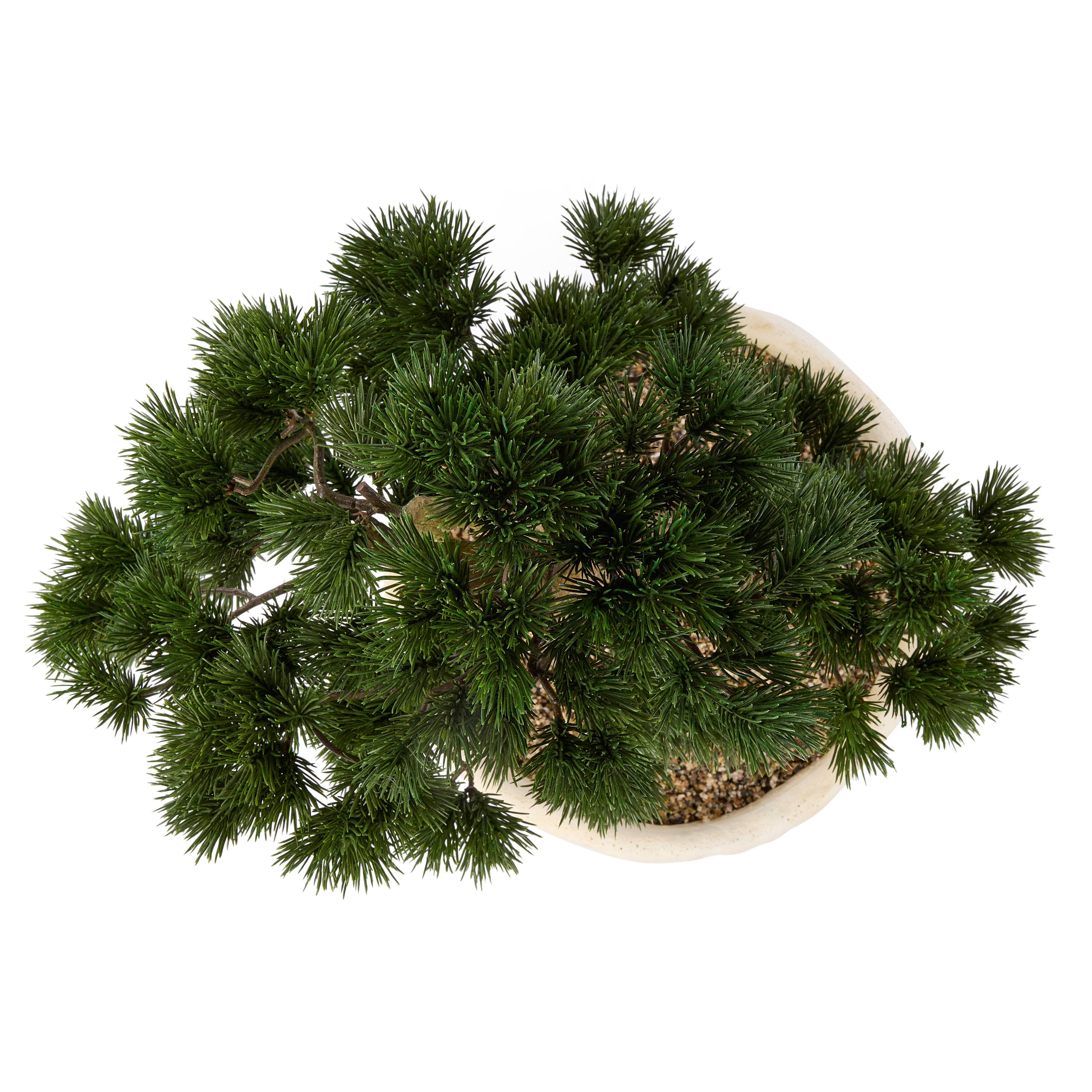 Faux Pine Bonsai - Textured Cement Pot | Cream - 57cm