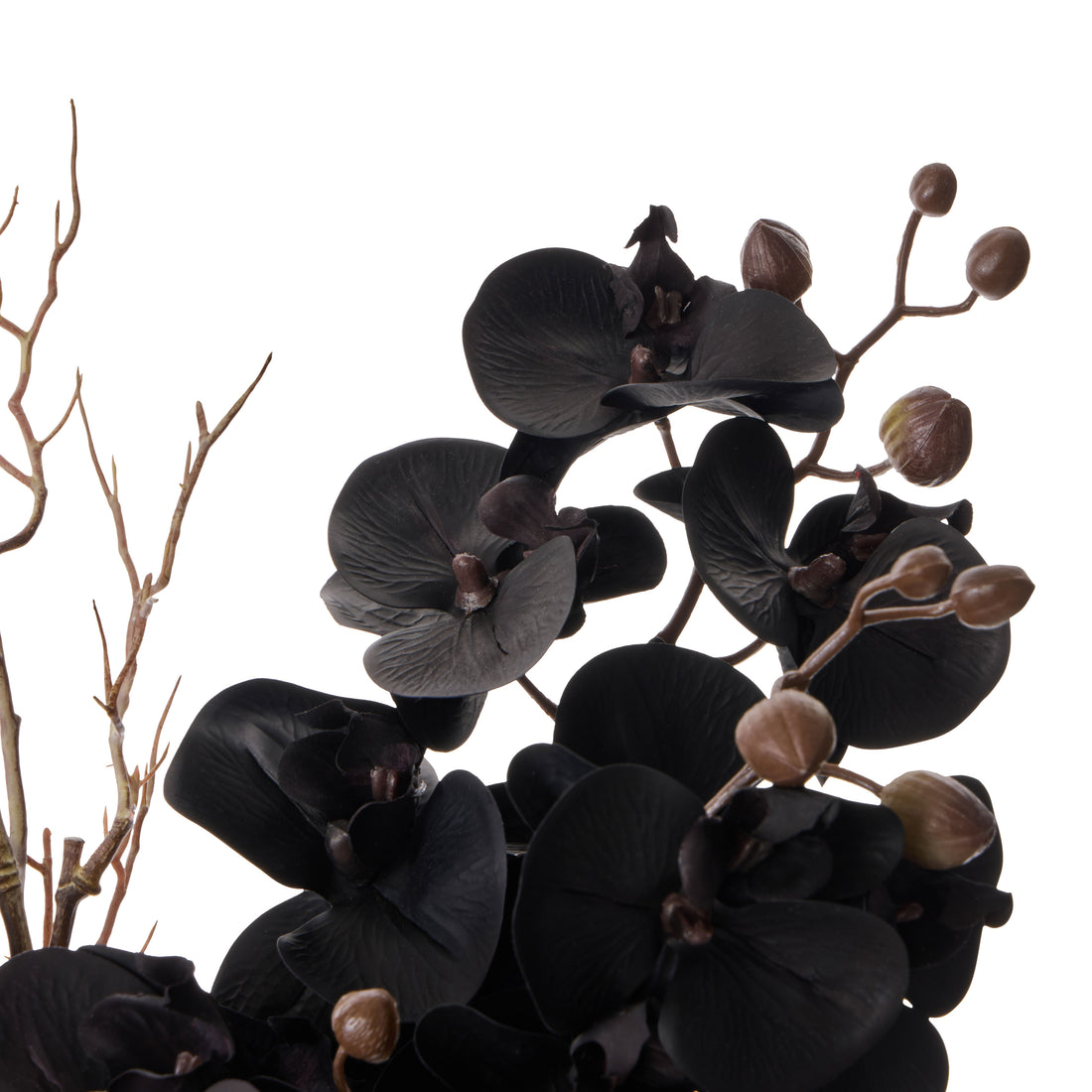 Faux Phalaenopsis - Maliah Pot | Black -  65cm
