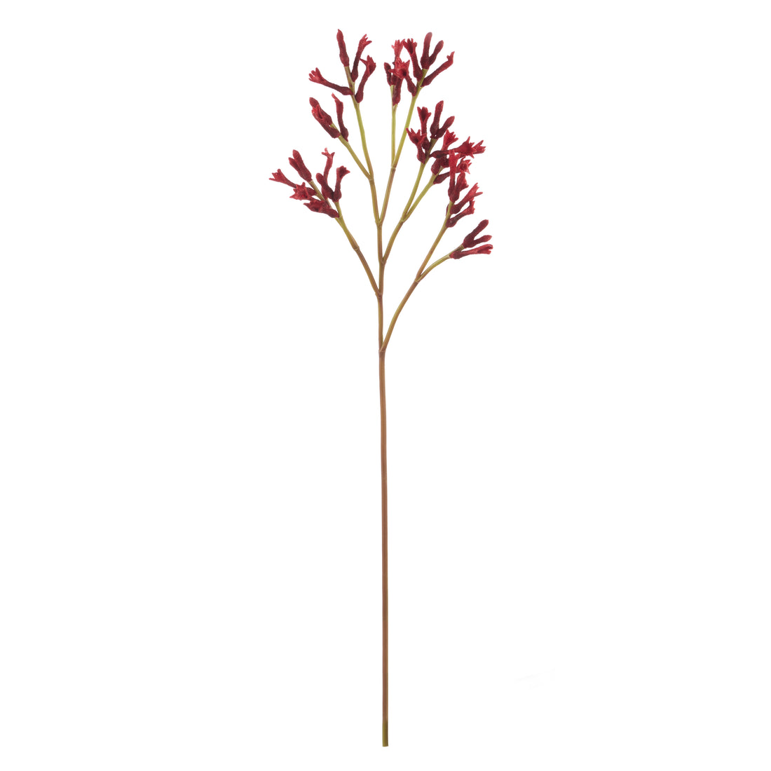 Faux Kangaroo Paw Spray | Red - 77cm