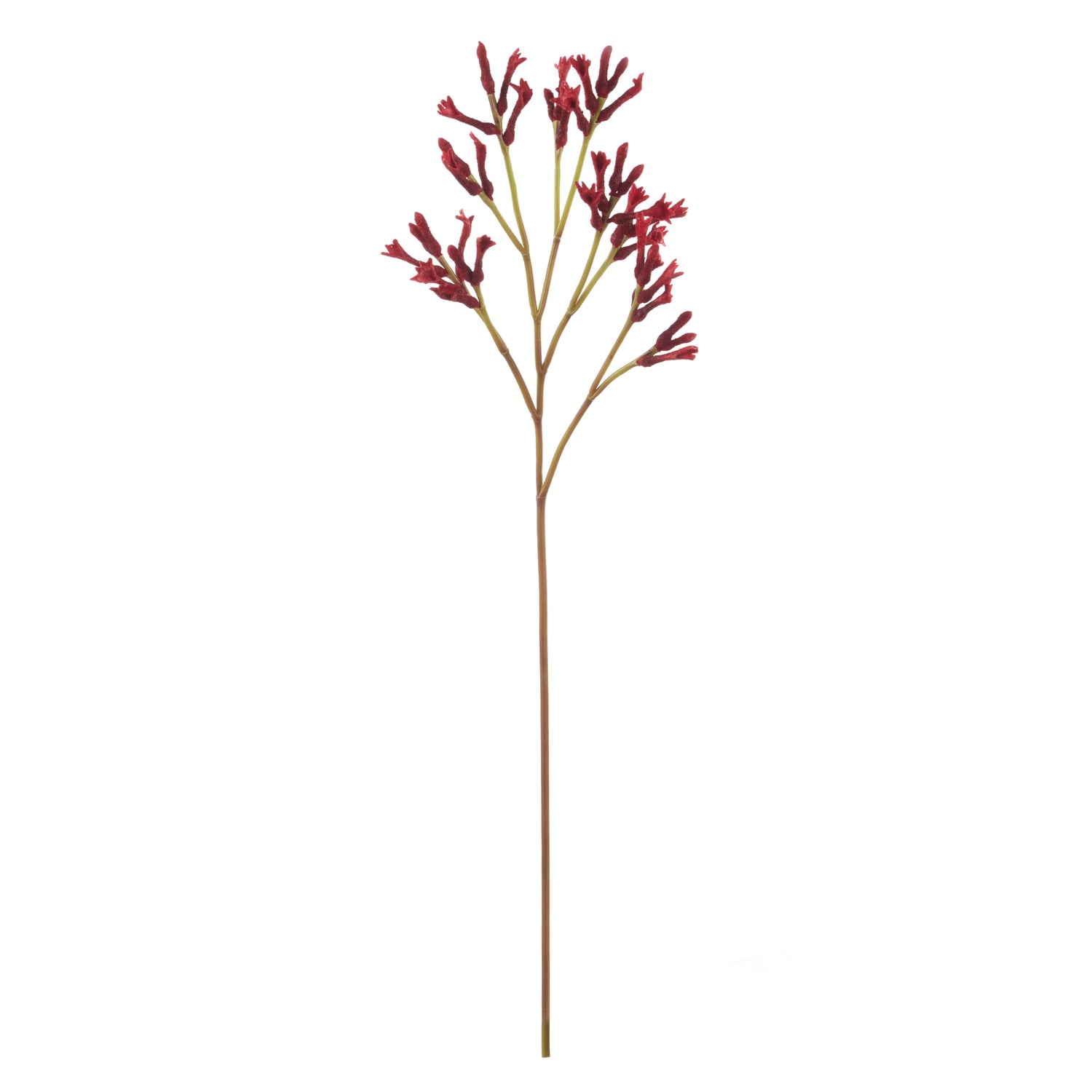Faux Kangaroo Paw Spray | Red - 77cm