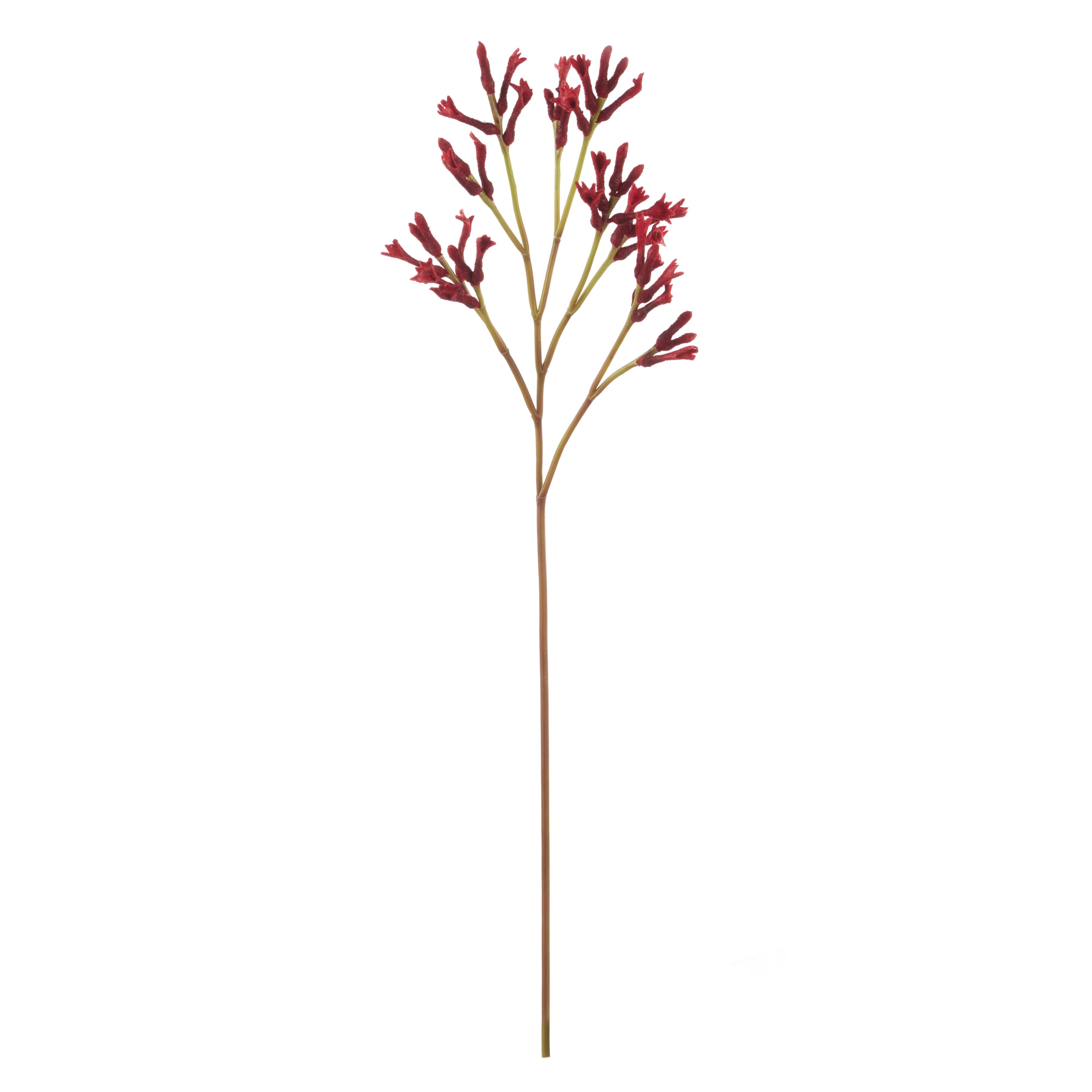 Faux Kangaroo Paw Spray | Red - 77cm