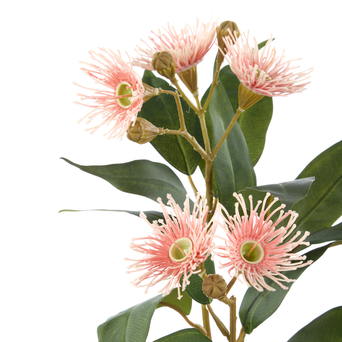 Rogue Eucalyptus Flower Spray Pink