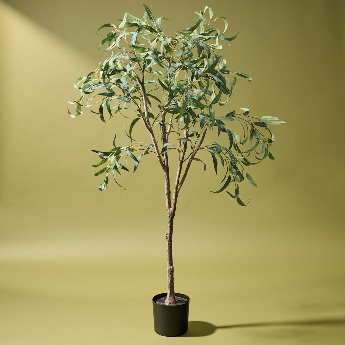 Faux Eucalyptus Willow Tree | 184cm