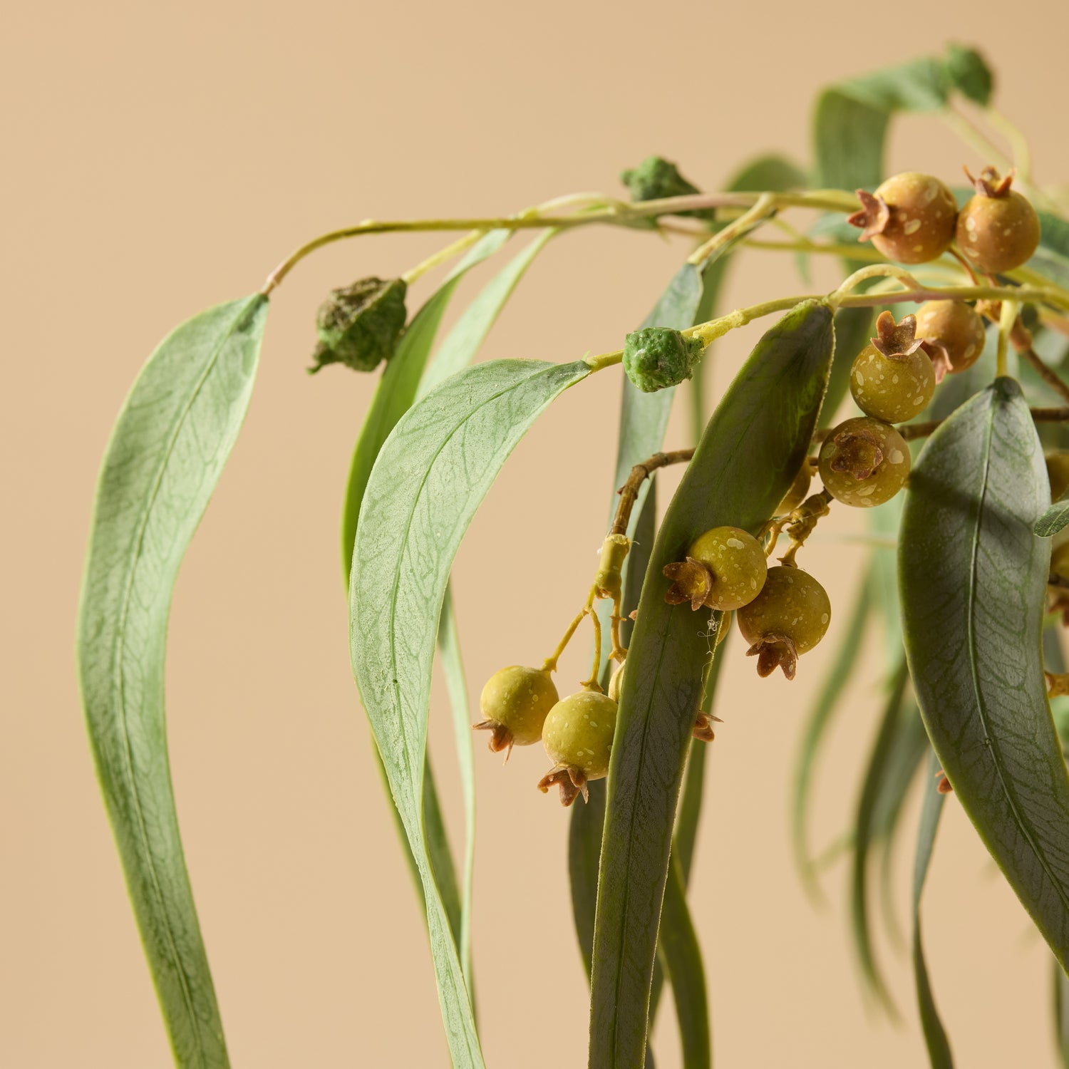Faux Banksia Eucalyptus Arrangement - Rachel Vase | Cream - 85cm