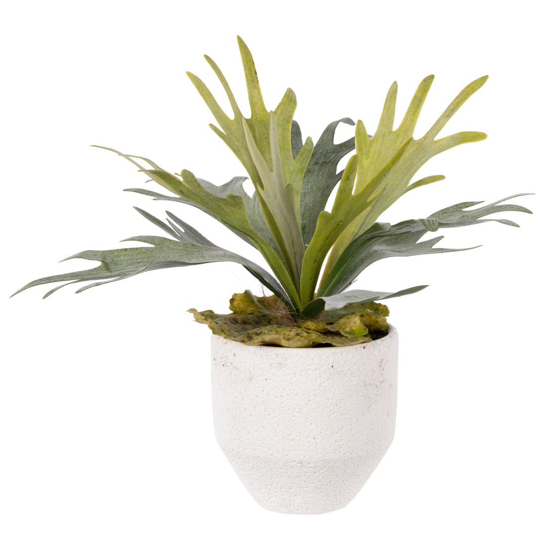 Faux Staghorn - Delos Planter | Green - 34cm