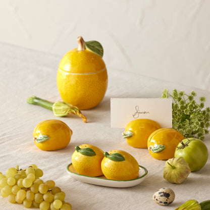 Emporium Limoncello Salt and Pepper Shakers Yellow &amp; Green