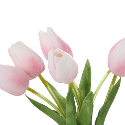 Rogue Tulip Bunch Pink