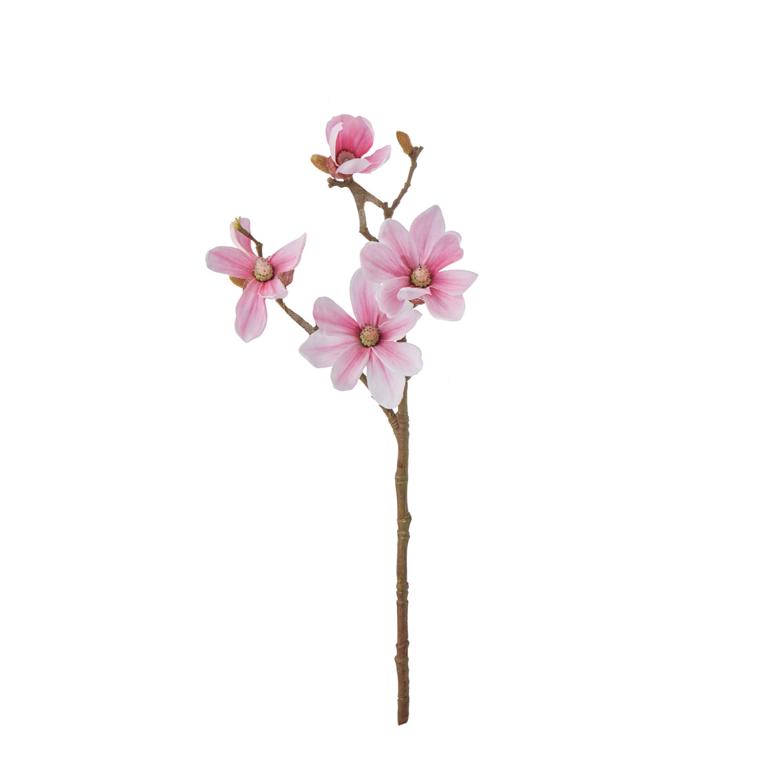 Rogue Mini Magnolia Spray Pink