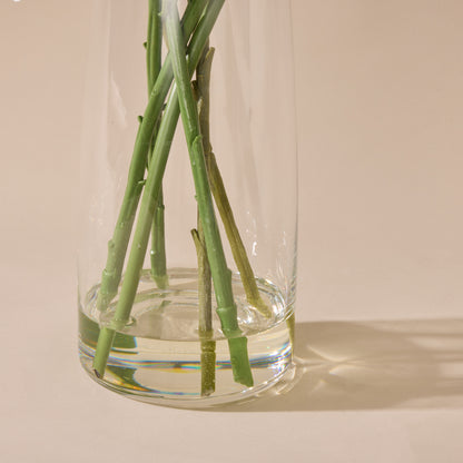 Faux Casa Lily Gingko - Alana Vase | White - 80cm