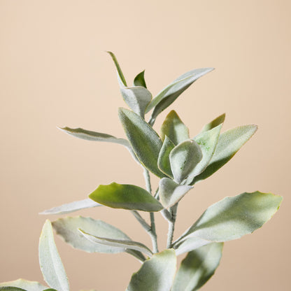 Faux Leucadendron Leaf Stem | Green - 66cm