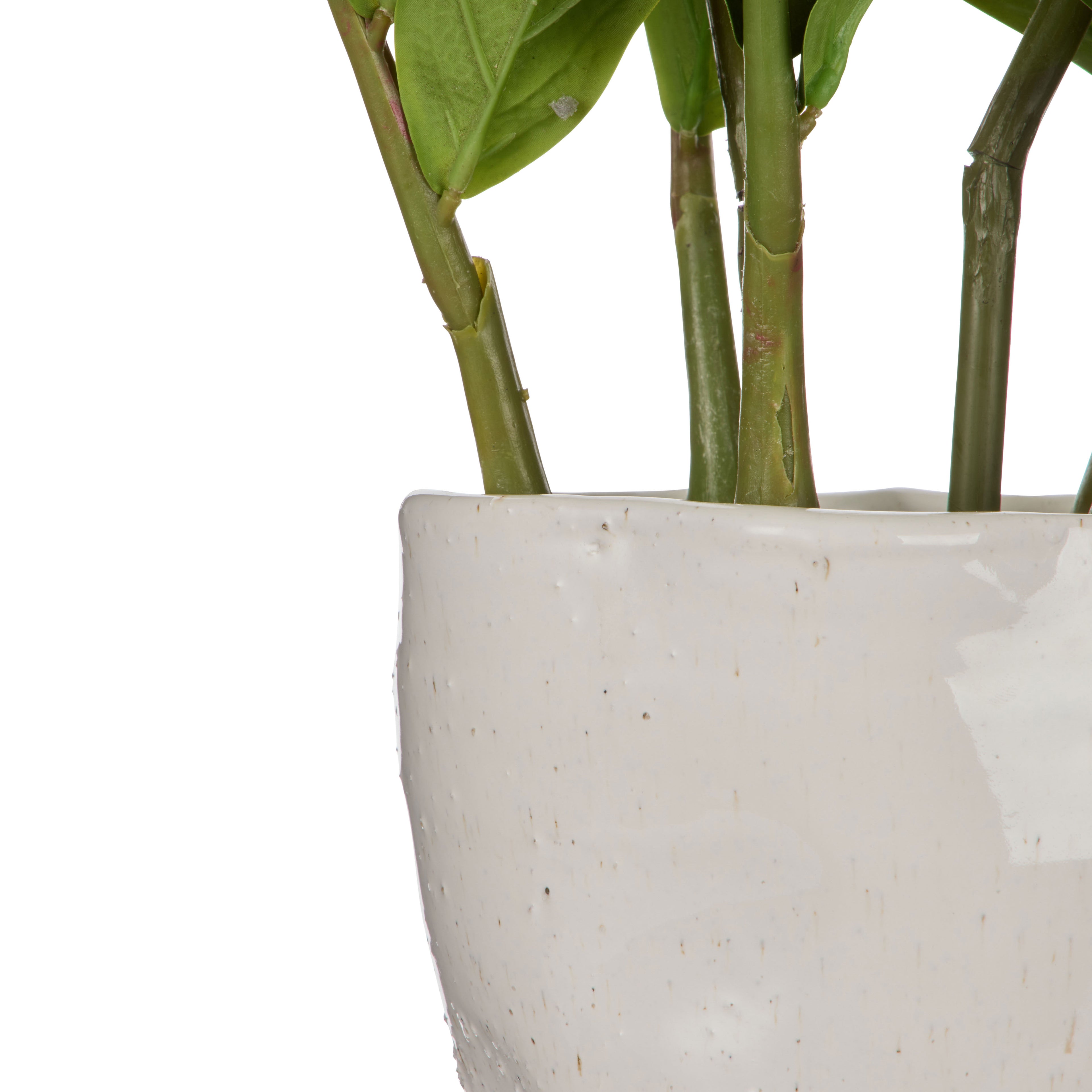 Faux Zanzibar - Nora Pot | Green -  64cm