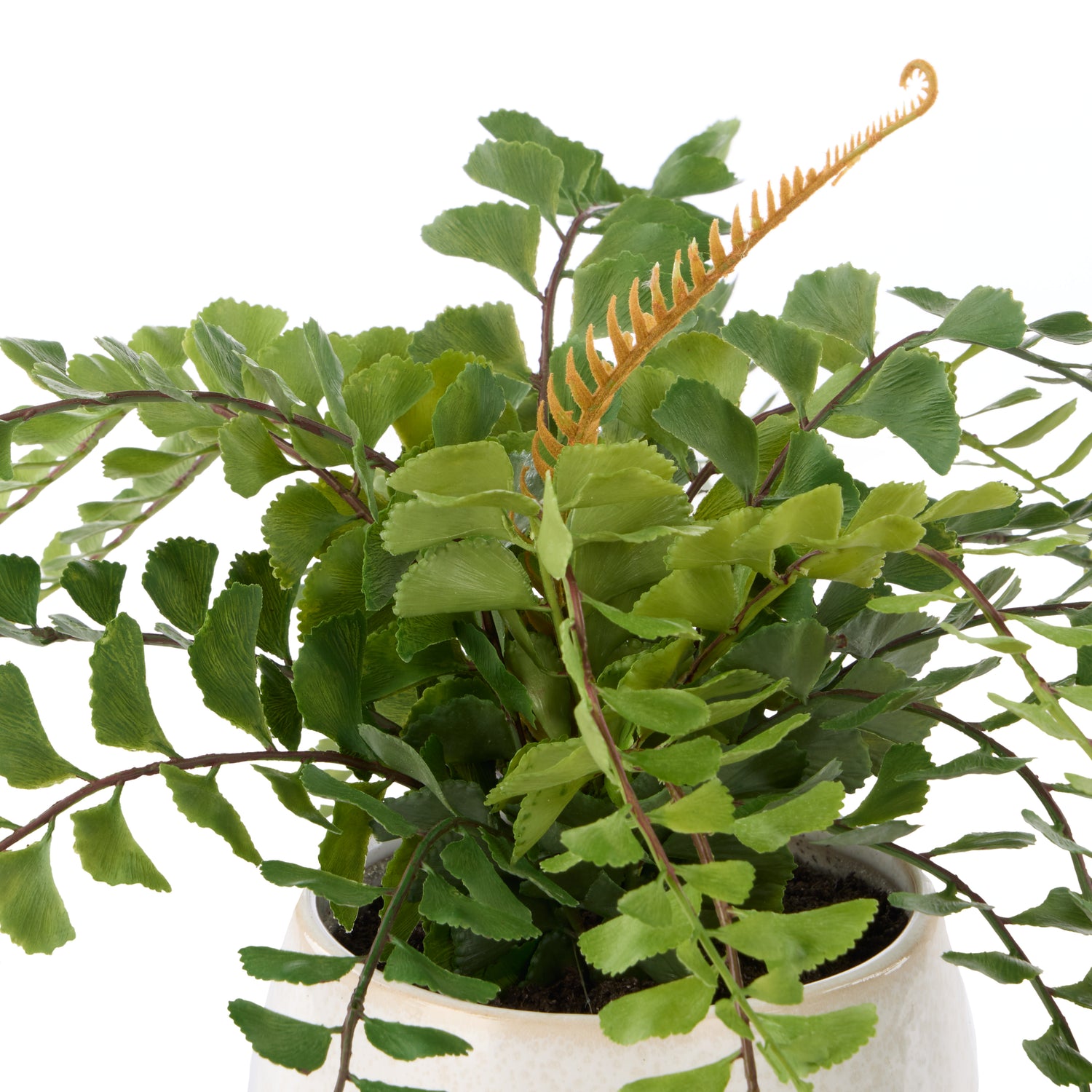 Faux Jewel Fern - Gianna Pot | White - 24cm