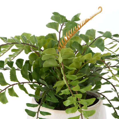 Faux Jewel Fern - Gianna Pot | White - 24cm