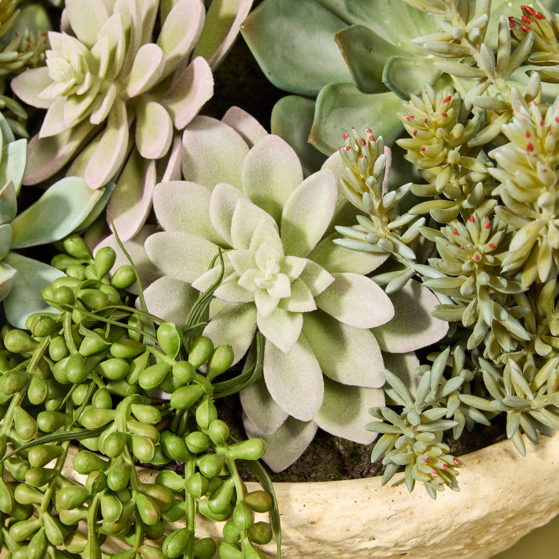 Faux Succulent Garden - Textured Cement Pot | 30cm