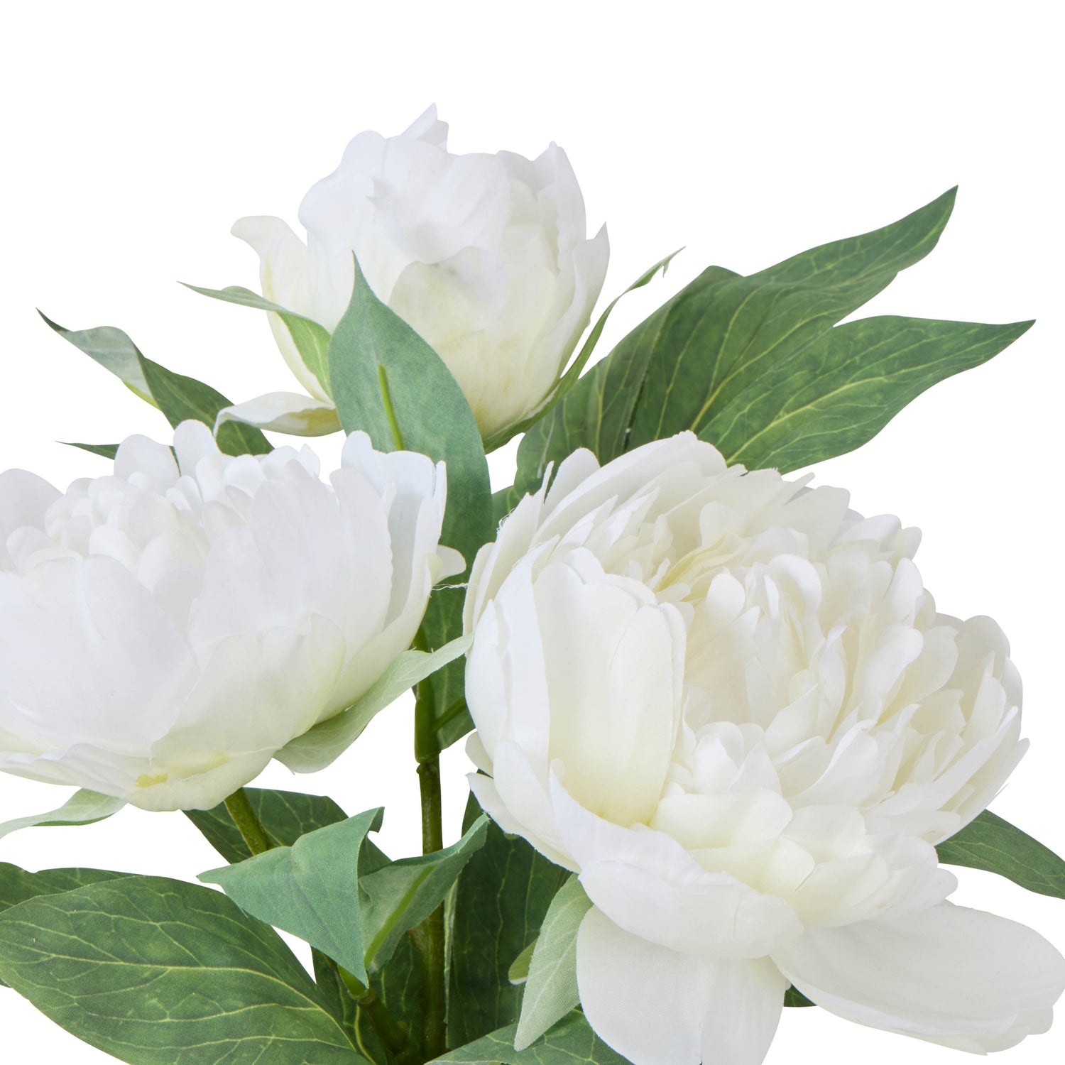 Rogue Peony Stem - Sphere Vase White