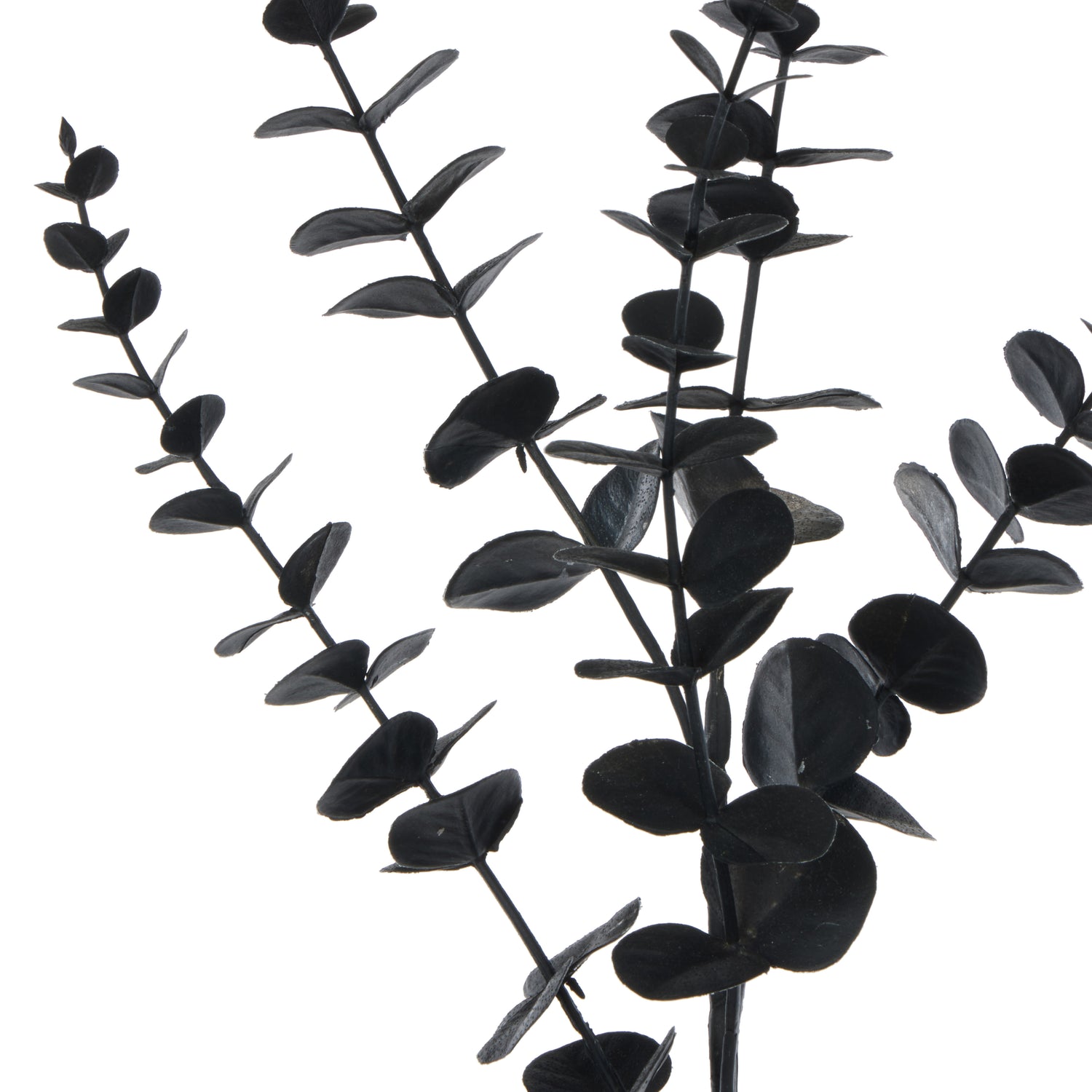 Faux Eucalyptus Spray | Black - 74cm