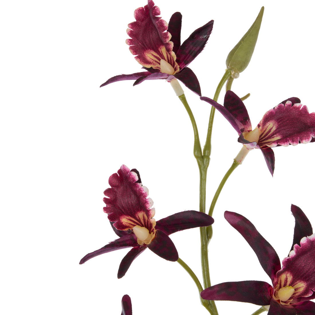 Faux Dendrobium Spray | Burgundy - 92cm