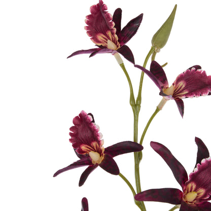 Faux Dendrobium Spray | Burgundy - 92cm