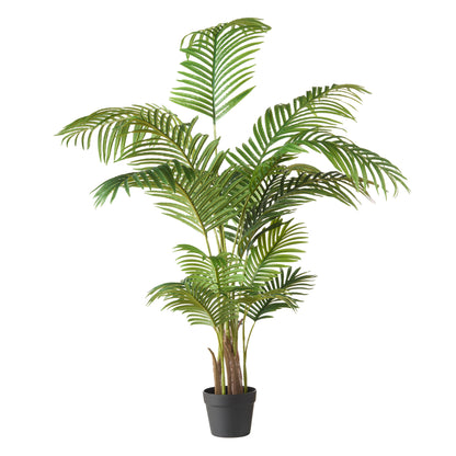 Rogue Areca Palm Tree - Garden Pot Green