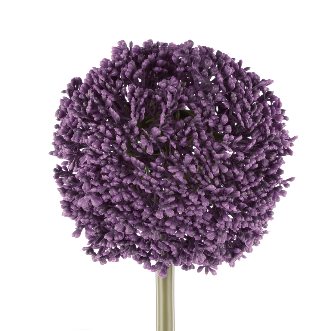 Rogue Allium Spray Grey Purple