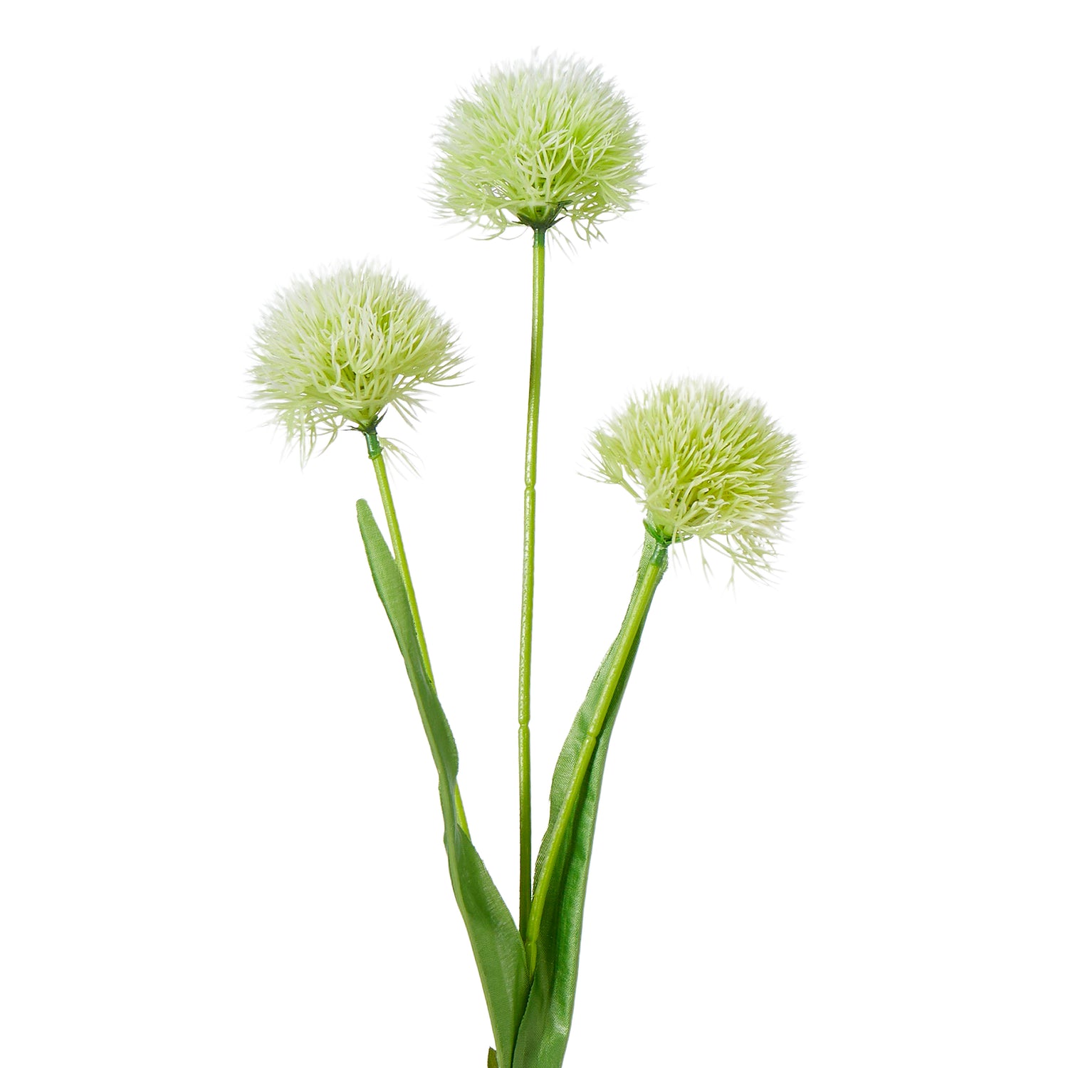 Faux Dandy Spray | Cream - 66cm