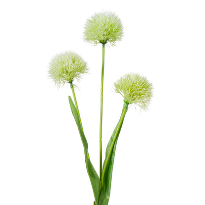 Faux Dandy Spray | Cream - 66cm