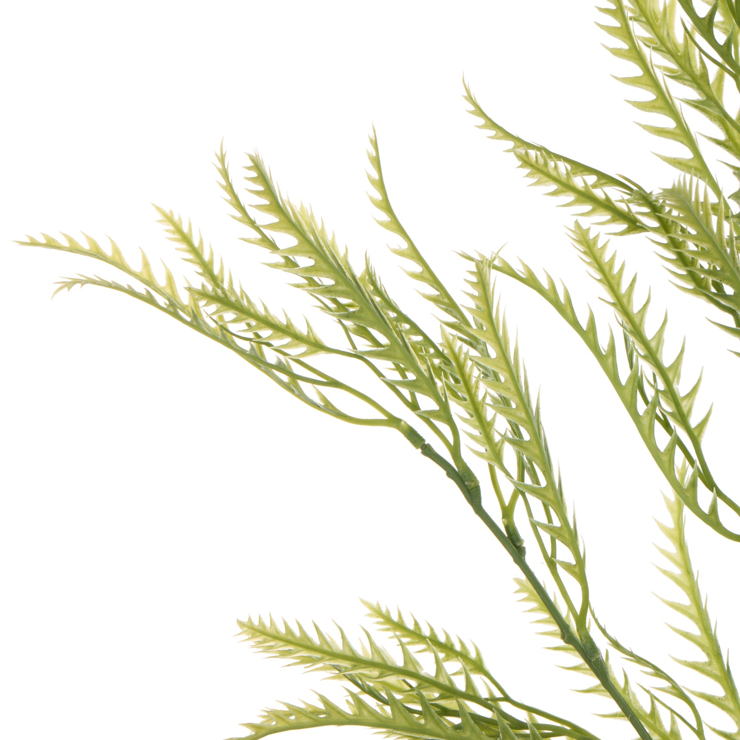 Faux Grevillea Leaf Spray | Green - 100cm
