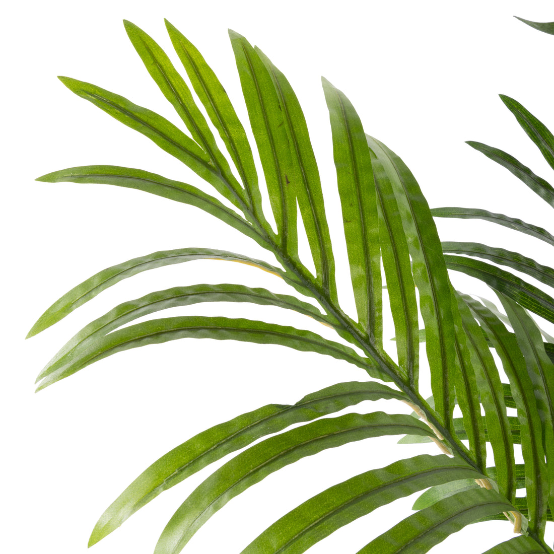 Rogue Areca Palm UV - Garden Pot Green