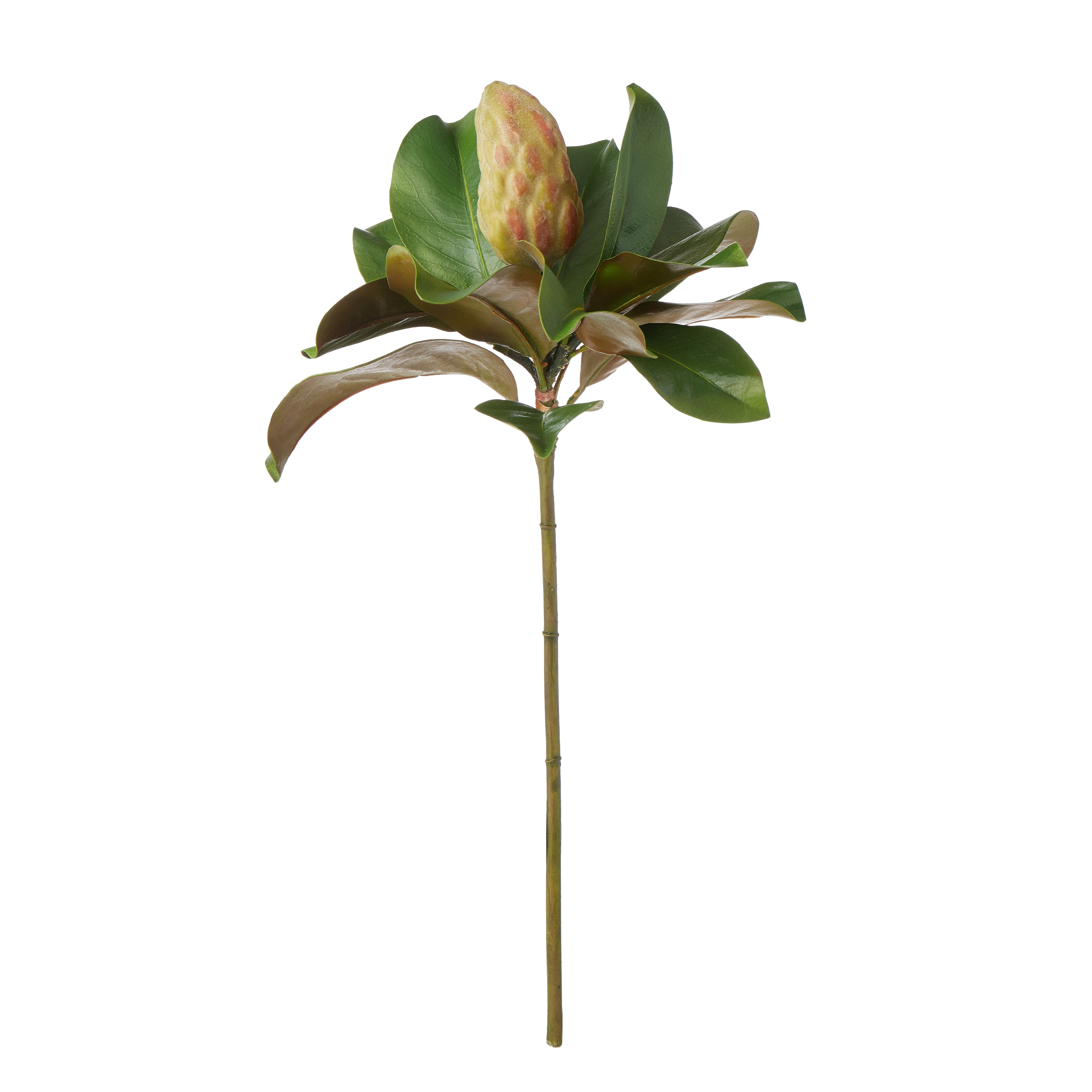 Faux Magnolia Bud Stem | 53cm