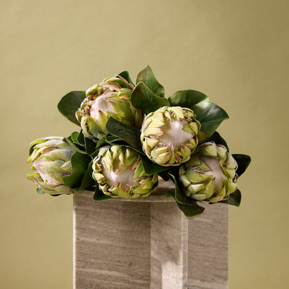 Faux Grand Protea Stem | Green - 81cm