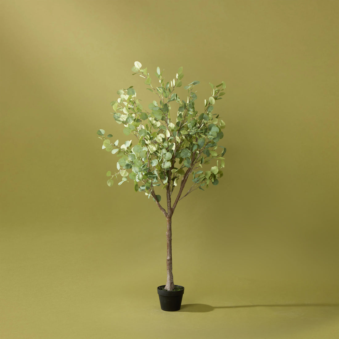 Faux Eucalyptus Tree Garden Pot | 150cm