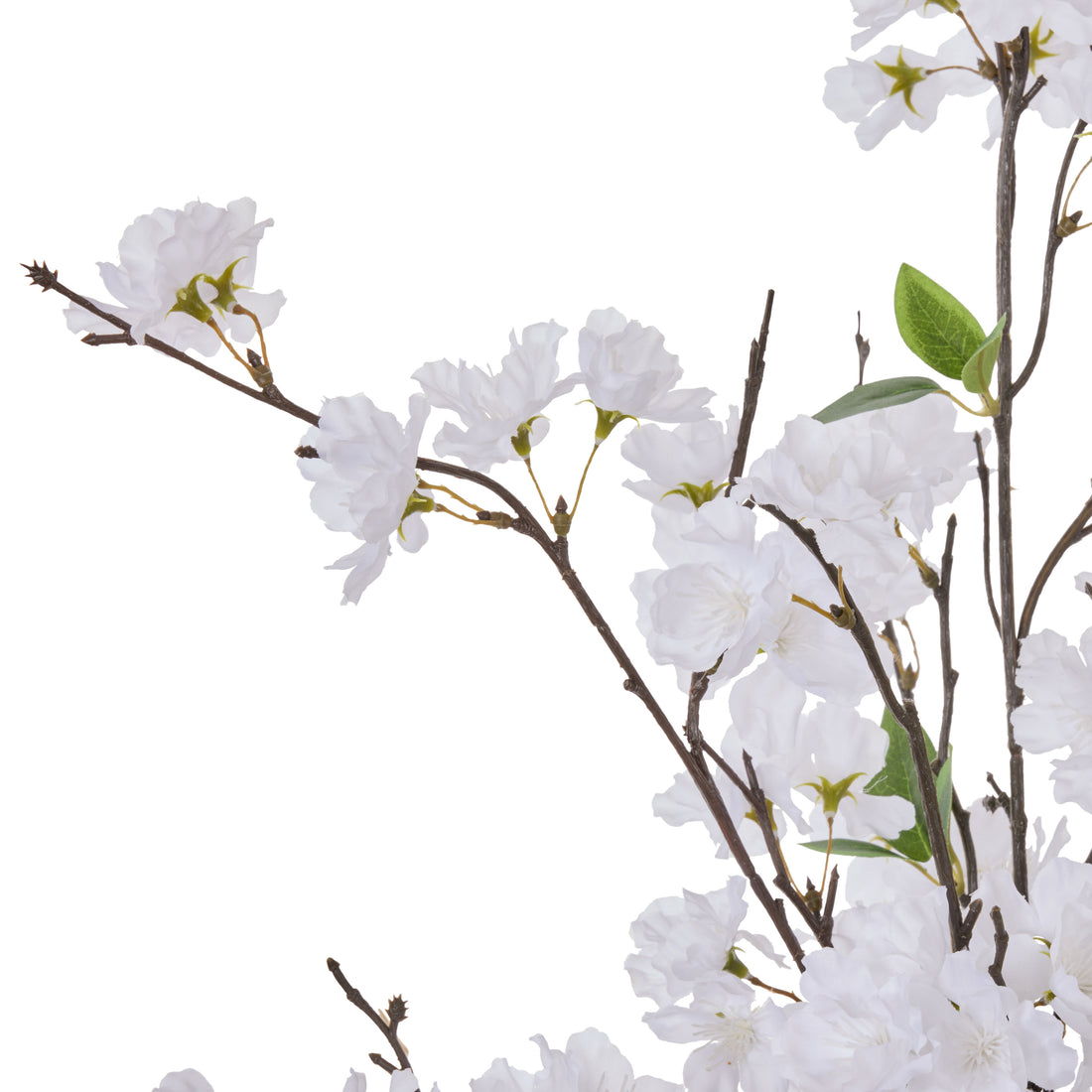 Faux Cherry Blossom - Elsie Vessel | White  -  75cm