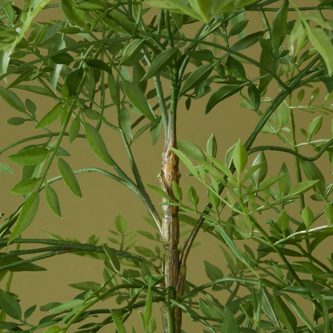 Faux Ficus Tree- Garden Pot | 150cm