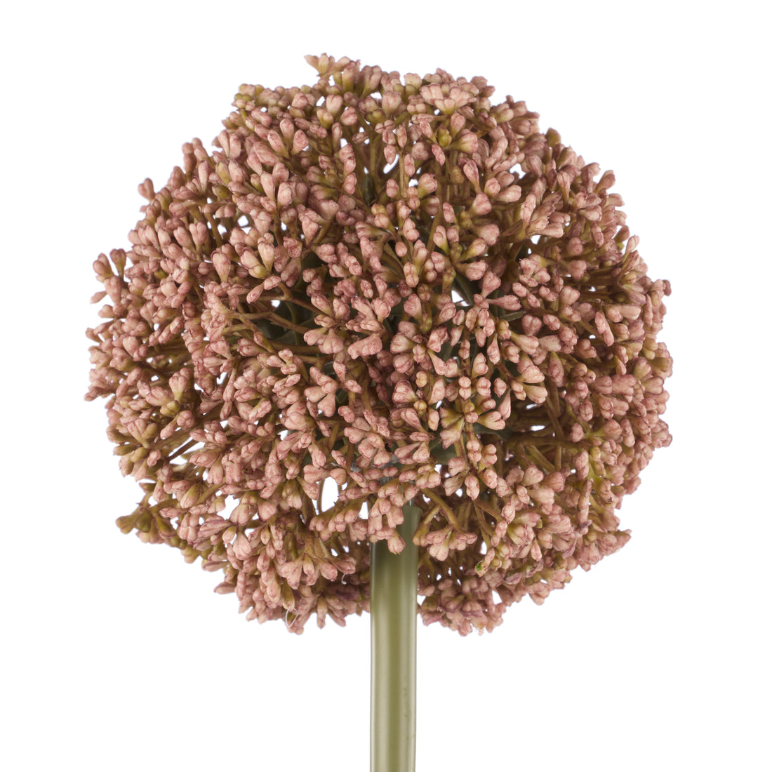 Faux Allium Stem | Pink -  76cm