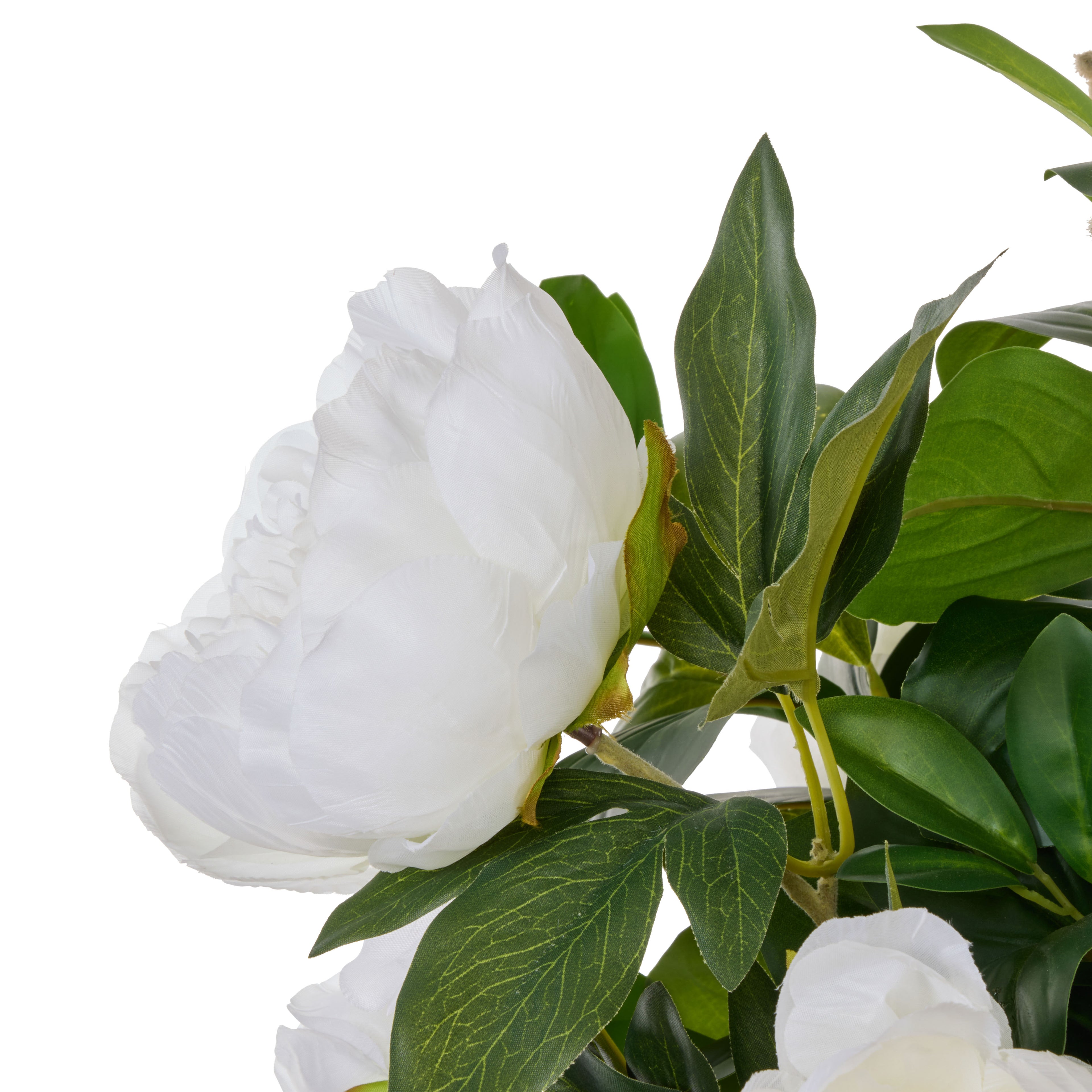 Faux Peony Lush Leaf - Alana Vase | White -  84cm