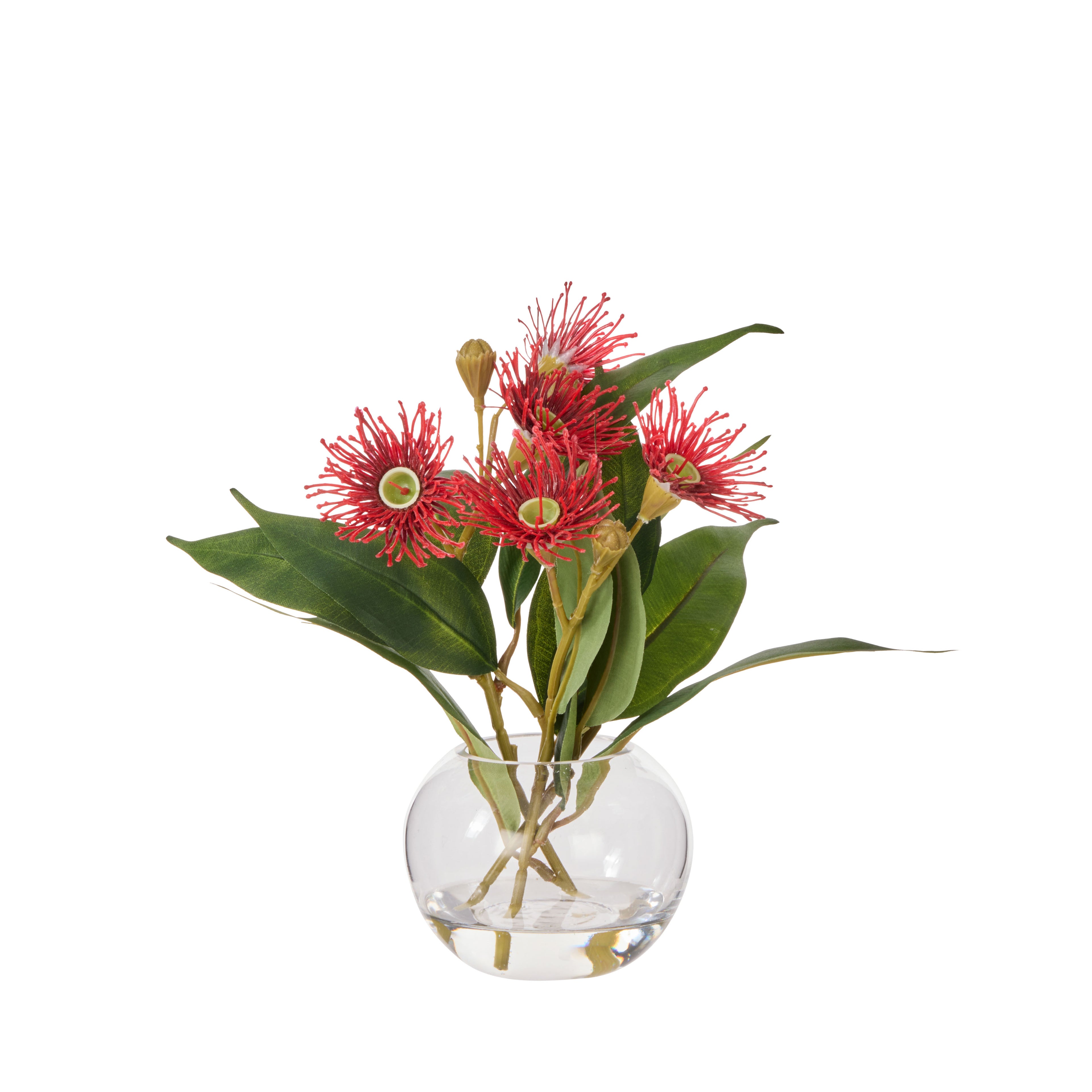 Rogue Flowering Eucalyptus - Sphere Red &amp; Green