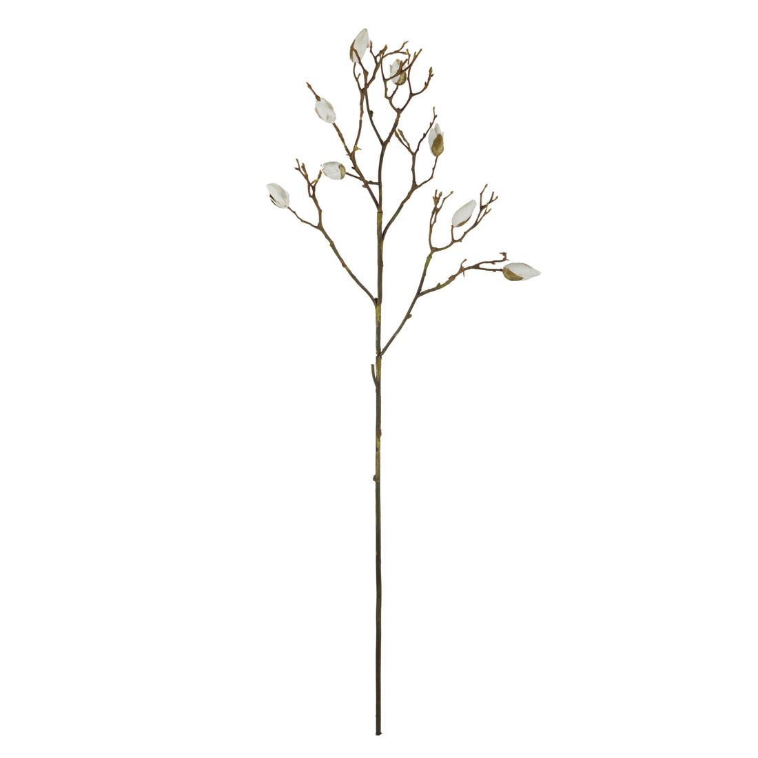 Faux Magnolia Bud Branch | Cream - 75cm
