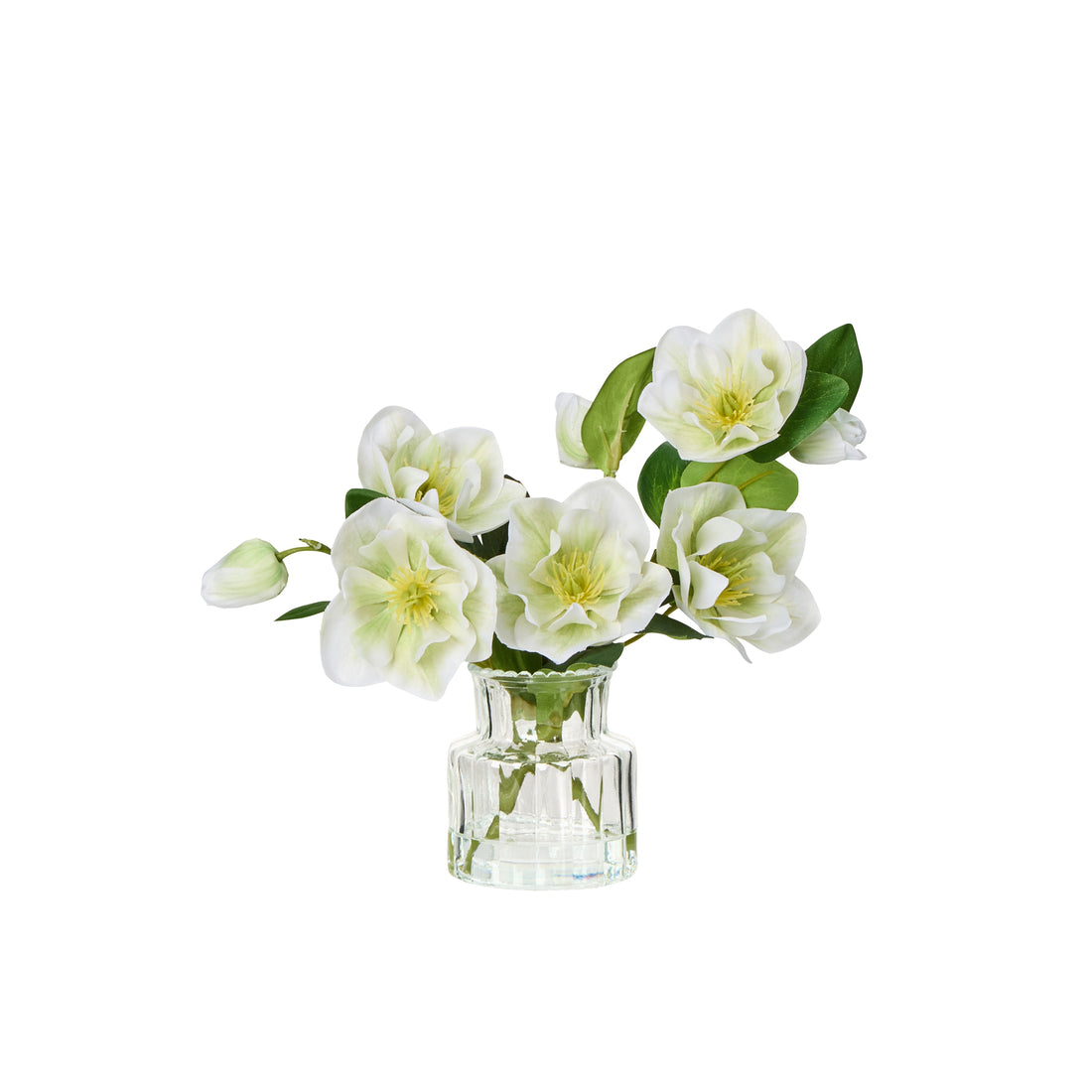 Rogue Helleborus - Glass Vase White