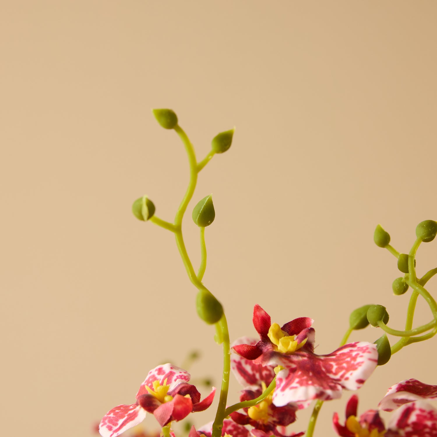 Faux Dancing Orchids - Madelyn Bowl | Burgundy - 58cm
