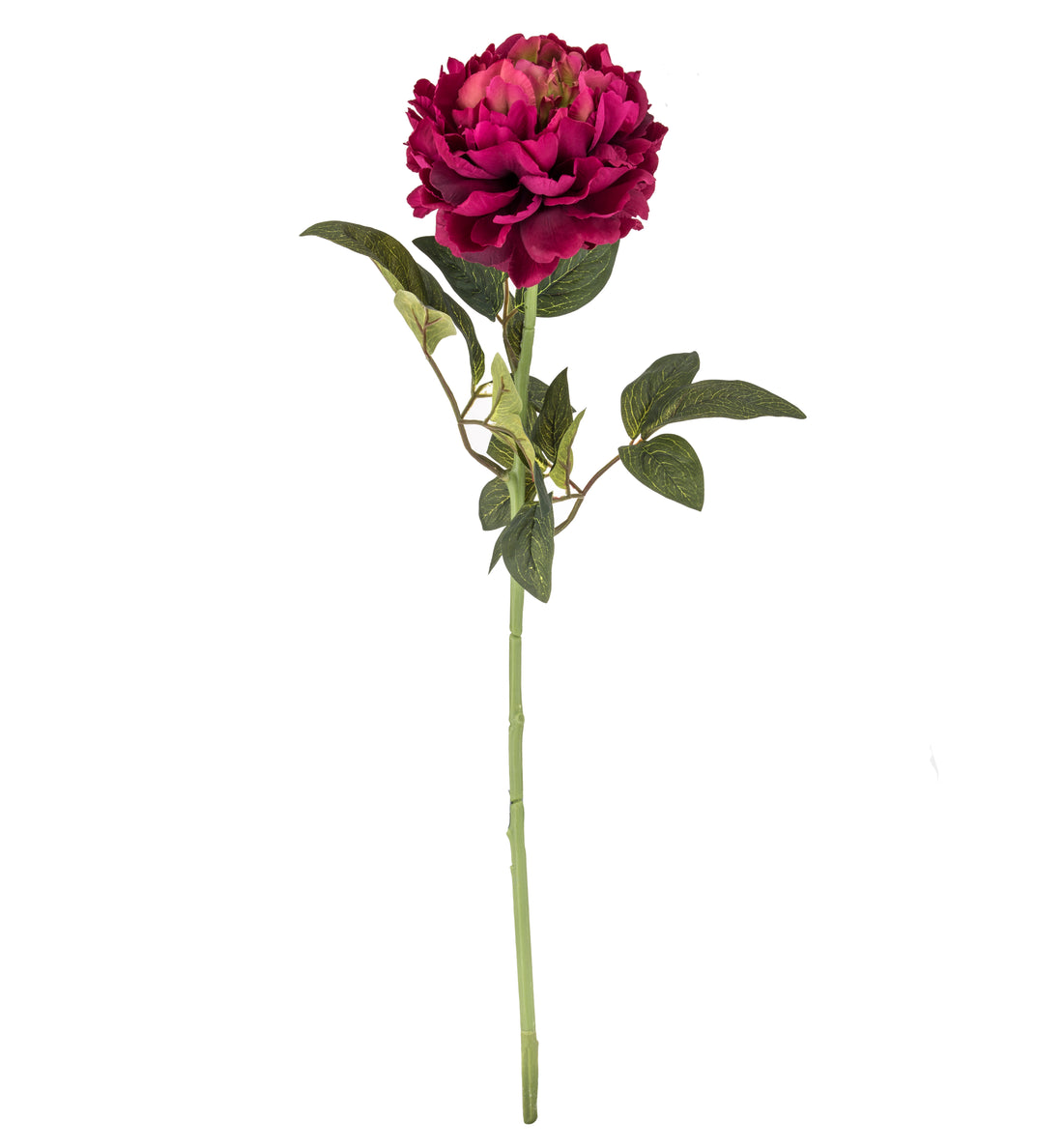 Faux Peony Stem | Burgundy - 73cm