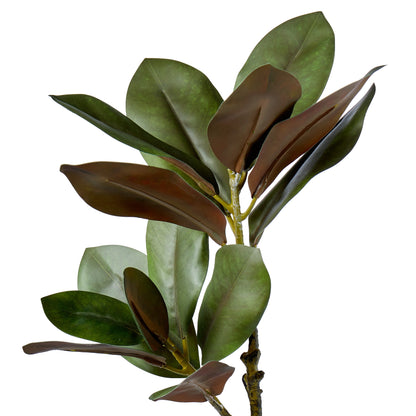 Faux Magnolia Foliage | Green - 83cm