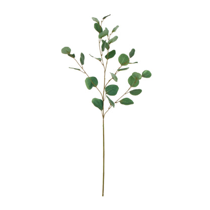 Rogue Round Eucalyptus Spray Green