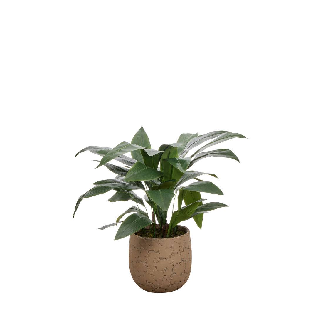 Faux Cast Iron Plant UV Treated  - Oliver Pot | Green  - 98cm