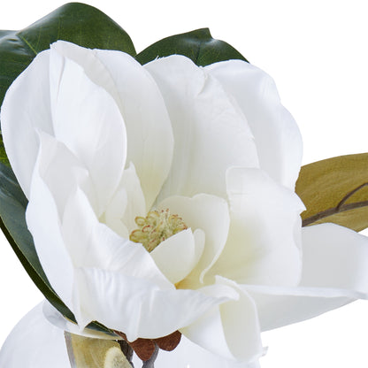Rogue Magnolia - Sphere Vase White