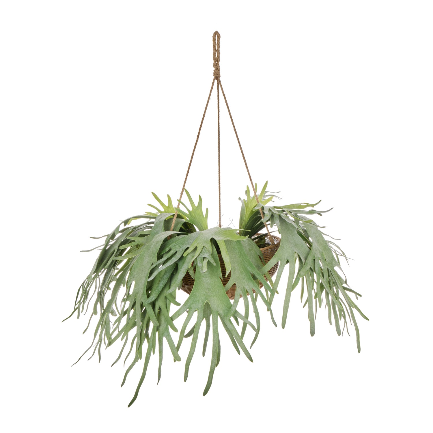 Faux Staghorn - Laos Hanging | Green -  100cm