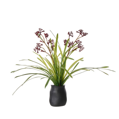 Faux Kangaroo Paw - Maliah Pot | Red -  72cm